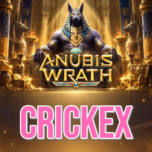 Screenshot 3 - crickex Settings